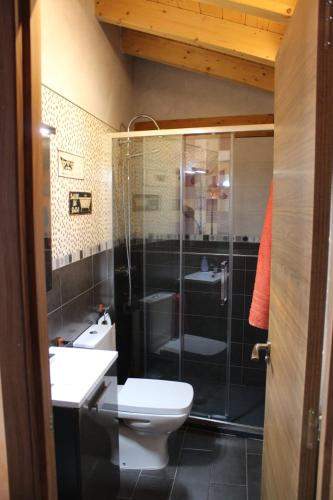 a bathroom with a toilet and a glass shower at Casa Rural María y Daniel in Castrillo de Duero