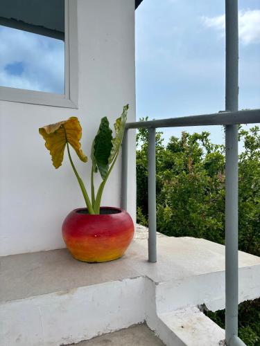 a vase with a plant in it sitting on a porch at Samia House in Jambiani