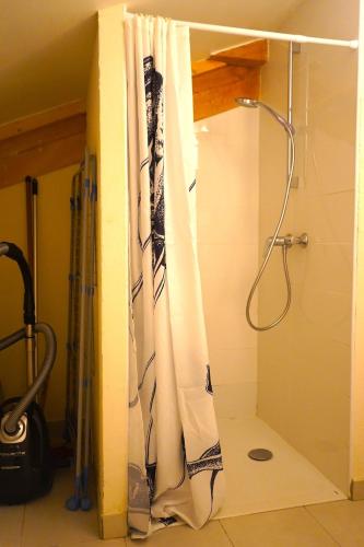 La salle de bains est pourvue d'un rideau de douche. dans l'établissement Eco-gîte Belle-étoile, à Verrens-Arvey