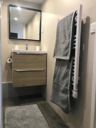une salle de bain avec un lavabo et un miroir dans l'établissement Superbe appartement 4 personnes au centre de Paris, à Paris
