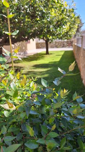 Antares Apartments photo 2