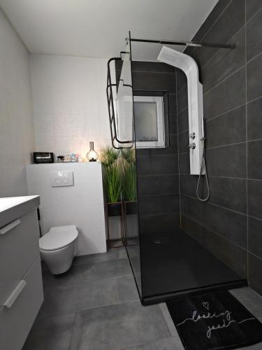 a bathroom with a shower and a toilet at Meraki Apartment Kostrena two bedrooms in Kostrena