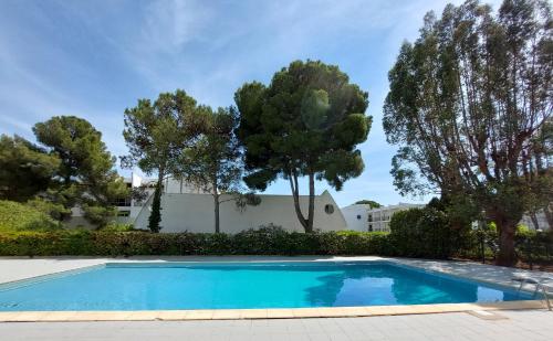 Joli studio piscine Cat