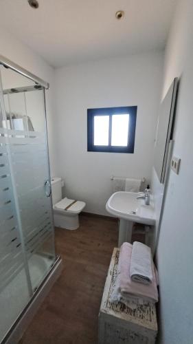 a bathroom with a shower and a sink and a toilet at Las Eras 2 in Herencia