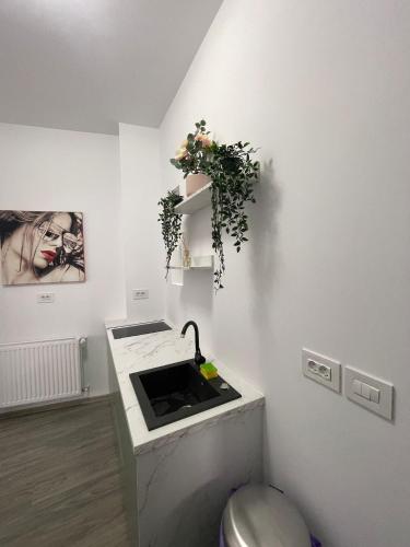 a small kitchen with a sink in a room at Style Central Victoria in Bucharest