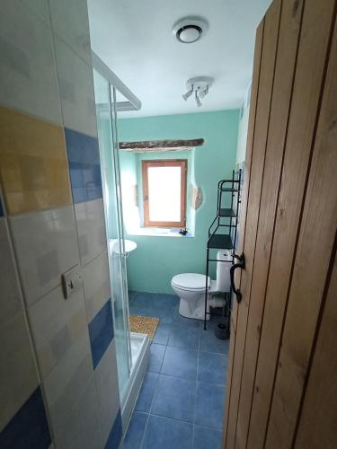 a bathroom with a shower and a toilet and a window at "Le Coeur de Berrien" Gite familial proche Huelgoat Monts d'Arrée in Berrien