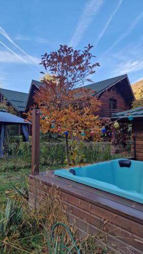 Billede fra billedgalleriet på Pensiunea Terra Nova i Brezoi