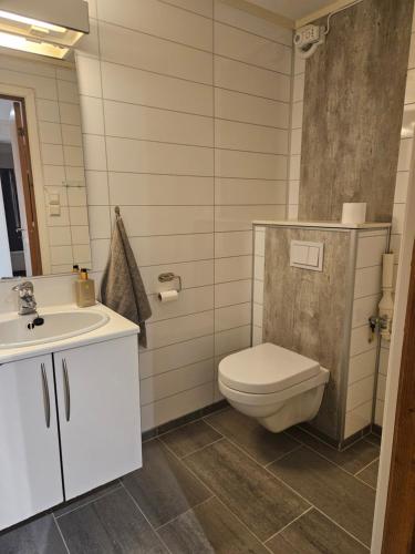 a bathroom with a toilet and a sink at Leilighet på Tomasjord in Tromsø