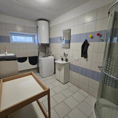 a bathroom with a sink and a shower at Farma u lesa in Hlinsko