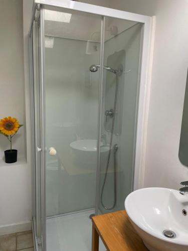 une douche en verre dans une salle de bain avec un lavabo dans l'établissement Le Careyrou, à Paziols