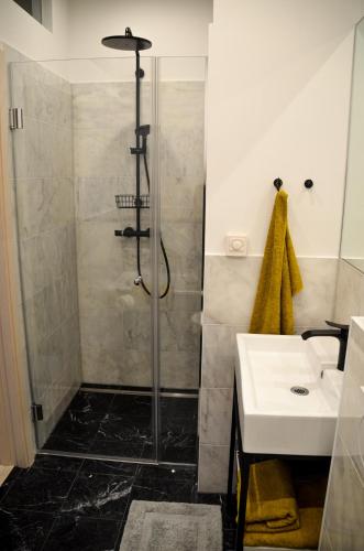 a bathroom with a shower and a sink at Ferienwohnung Turmblick in Stein an der Donau