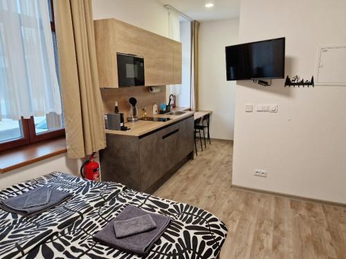 a room with a bed and a kitchen with a sink at apartmán Meluzínka in Loučná pod Klínovcem