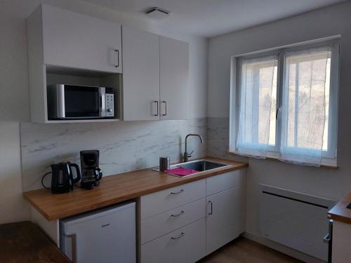 une cuisine avec un évier et un micro-ondes dans l'établissement Appartement en plein cœur du Massif du Sancy, à Besse-et-Saint-Anastaise