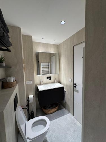 une salle de bain avec toilettes et lavabo dans l'établissement 2 bedroom apartment renovated in the heart of Paris, à Paris