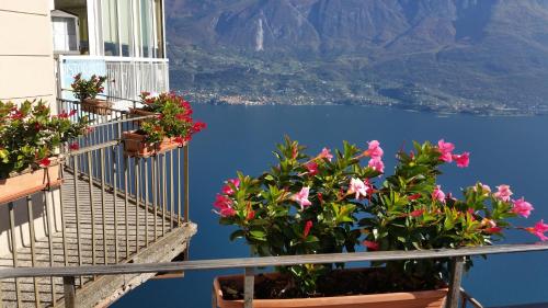 a balcony with flowers and a view of the water at Ferienwohnung Maderno in Affoltern