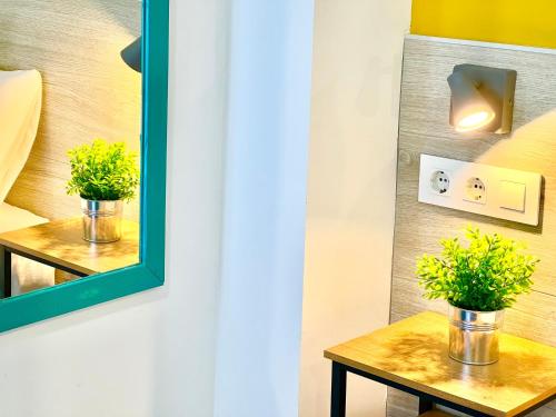 a mirror on a wall with two plants on a table at DORI ROOMS - Hostal in Tarifa
