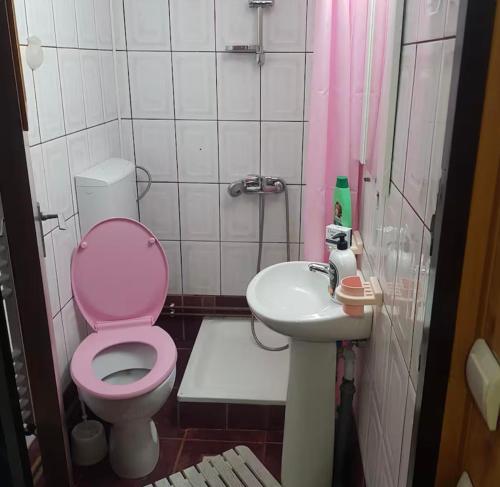 a small bathroom with a pink toilet and a sink at Apartament Casa cu Flori de Munte in Buşteni