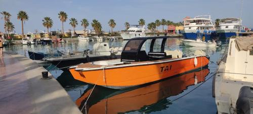an orange boat is docked in a harbor at Tai orange bay Island- Paradis Island- Dolphin - hula hula Island - Magawish island-etc in Hurghada