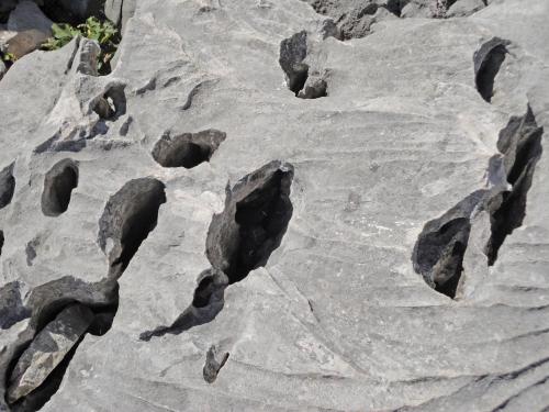 a large rock with holes in it at Ferienwohnung Maderno in Affoltern
