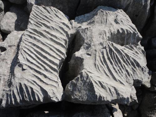 a rock with a heart pattern on it at Ferienwohnung Maderno in Affoltern