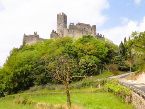 a castle on top of a hill with a tree at Ferienwohnung Maderno in Affoltern