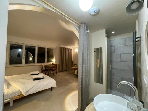 サルラ・ラ・カネダにあるLa Casa Baccataのバスルーム(ベッド1台、シャワー、シンク付)