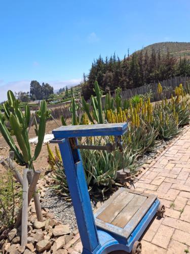 Gallery image of Cabaña colibrí - Casa Campo Elqui in La Serena