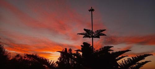 Gallery image of Cabaña colibrí - Casa Campo Elqui in La Serena
