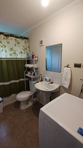 a bathroom with a toilet and a sink and a mirror at arriendo casa independiente en Valdivia in Valdivia