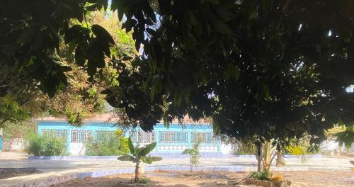 two trees in front of a blue building at Lena avenue in Sanyang