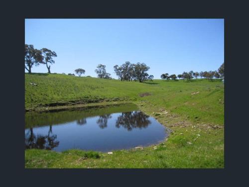 a pond in a field with trees in the background at Cyan Farm in Mount Torrens