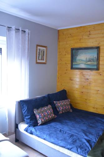 a blue couch in a room with a wooden wall at Téli Berek Vendégház in Abod
