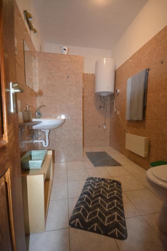 a bathroom with a sink and a toilet and a shower at Téli Berek Vendégház in Abod