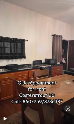 Cozy two bedroom Apartment GiJa