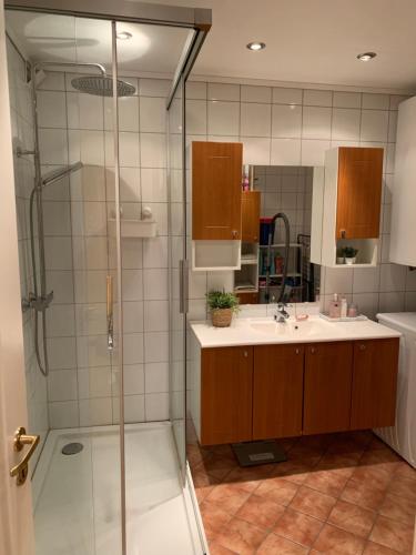un baño con ducha y lavabo en 2 bedrooms apartment, en Trondheim