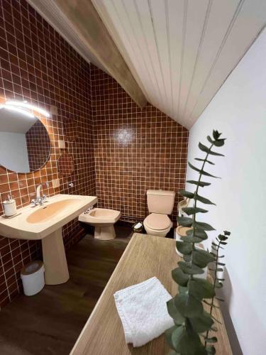 une salle de bain avec un lavabo et des toilettes et un lavabo dans l'établissement La ferme du bois, à Ablancourt