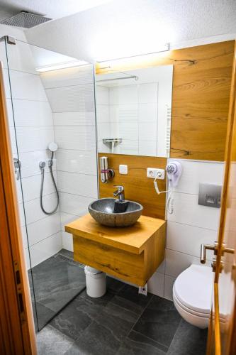 a bathroom with a sink and a toilet at Alpha Ski Apartmani in Jahorina