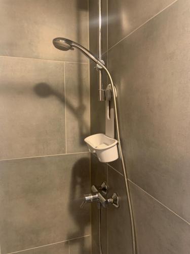 a shower with a shower head in a bathroom at Ferien- und Monteurwohnungen Wendischbrome in Jübar