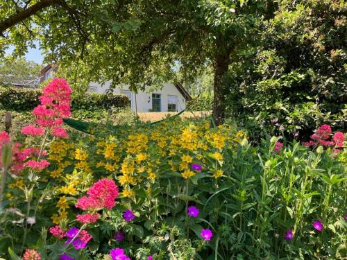 a garden of flowers with a house in the background at De Leeuwenbergh in Boven-Leeuwen