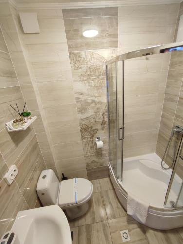 a bathroom with a toilet and a shower at Карпатська Вершина in Yaremche