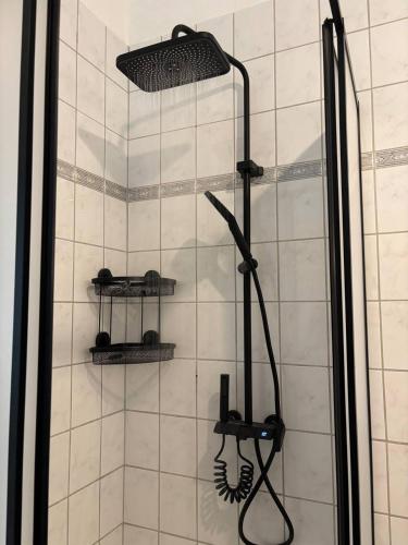 a shower with a shower head in a bathroom at Lahnblick Deluxe in Lahnstein