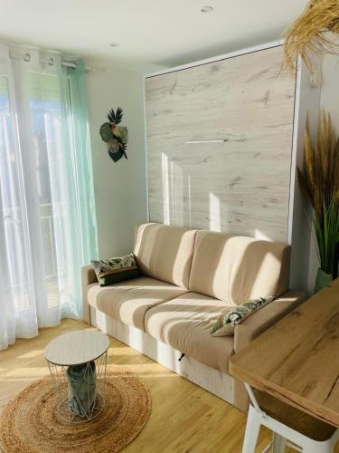 un salon avec un canapé et une table dans l'établissement Studio Méditerranéen, à Corneilla-del-Vercol