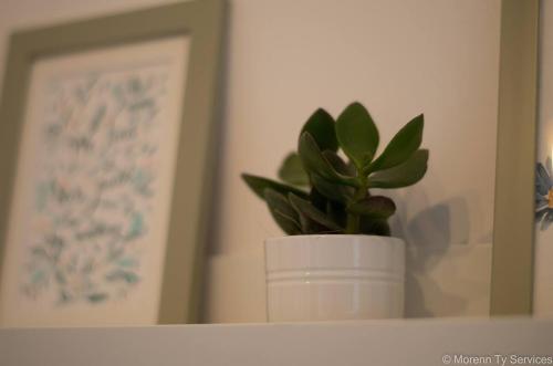 Apartment of Comfort