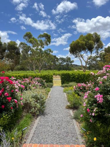 a path through a garden with flowers at Oxenberry Farm in McLaren Vale