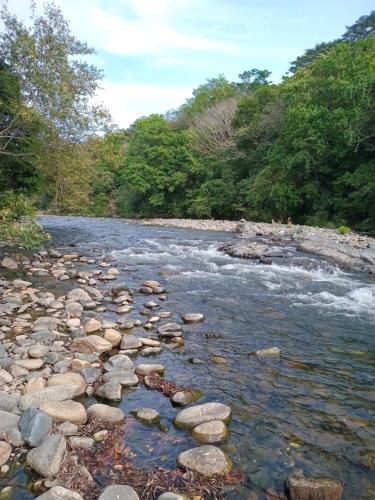 a river with rocks in the water and trees at Cabaña de Lucas in Loma Bonita