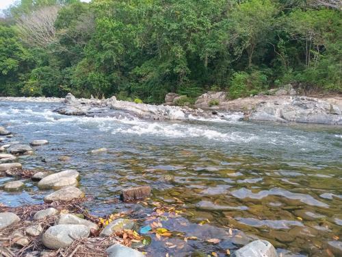 a river with rocks and water and trees at Cabaña de Lucas in Loma Bonita