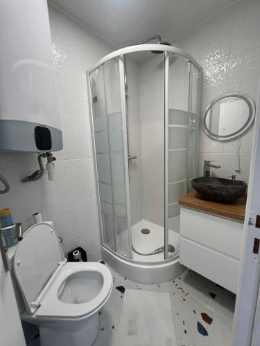 une salle de bain avec une douche, des toilettes et un lavabo dans l'établissement Charmant appartement moderne à Trouville, à Trouville-sur-Mer