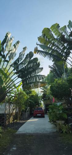 a palm tree with a car parked in a driveway at GRG Modern Payag in Santo Domingo
