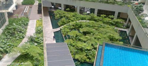 Kolam renang di atau dekat dengan Serene Haven
