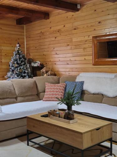 a living room with a couch and a christmas tree at Vikendica Crkvina in Kolašin